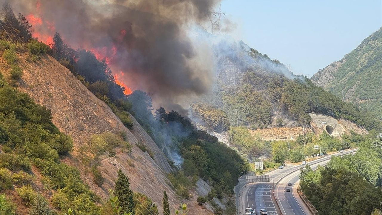 Sakarya'da Orman Yangınına Hava ve Karadan Müdahale