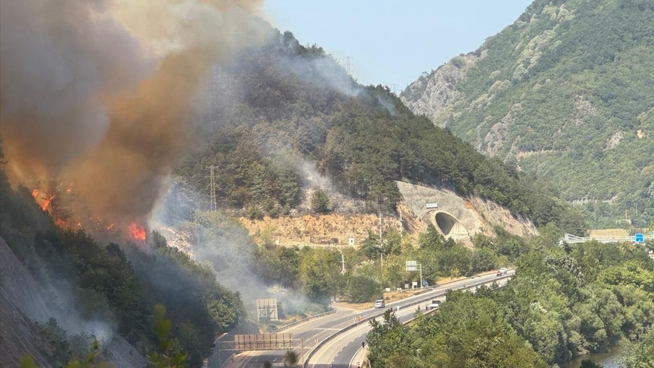Sakarya'da Orman Yangınına Müdahale Devam Ediyor