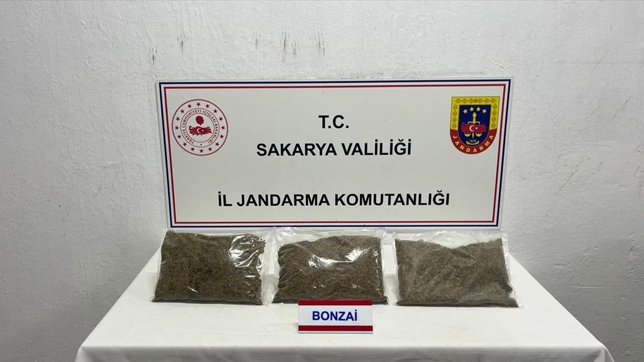 Sakarya'da Uyuşturucu Operasyonu: 2.750 Gram Ele Geçirildi