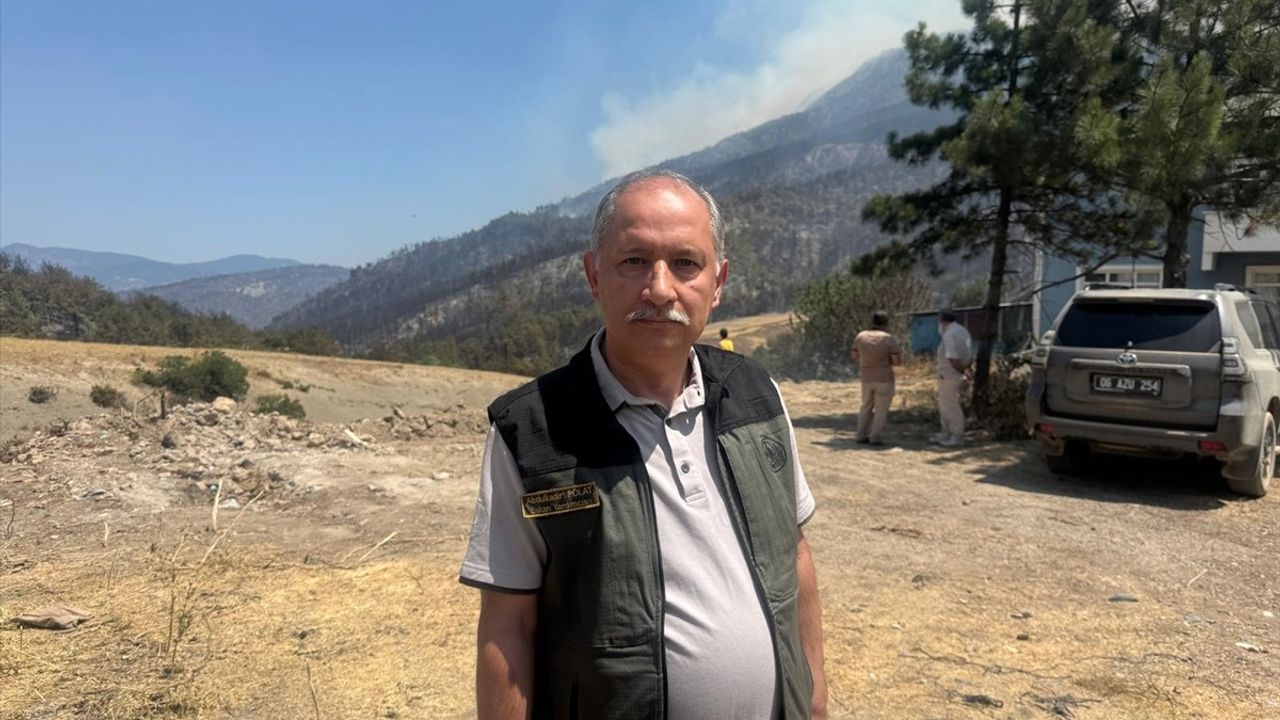 Sakarya'daki Orman Yangınına Müdahale Devam Ediyor