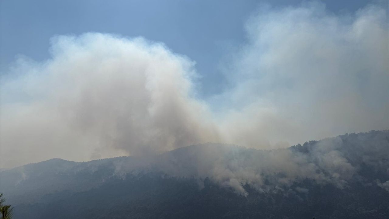 Sakarya'dan Bilecik'e Sıçrayan Orman Yangınına Müdahale Devam Ediyor