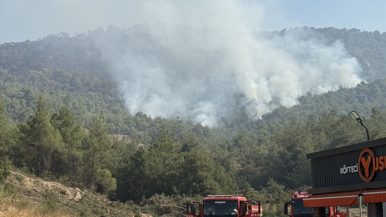 Sakarya'dan Bilecik'e Sıçrayan Orman Yangınında Müdahale Devam Ediyor