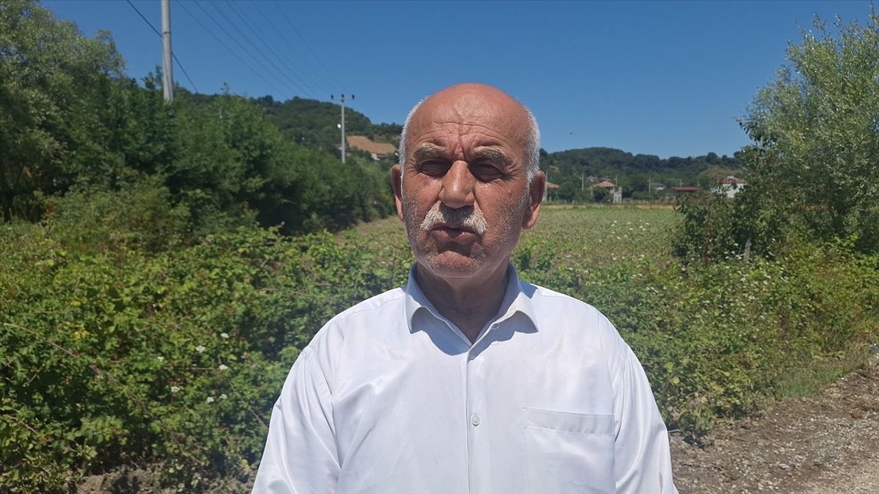 Samsun'da Su Taşkını Tarım Arazilerine Zarar Verdi