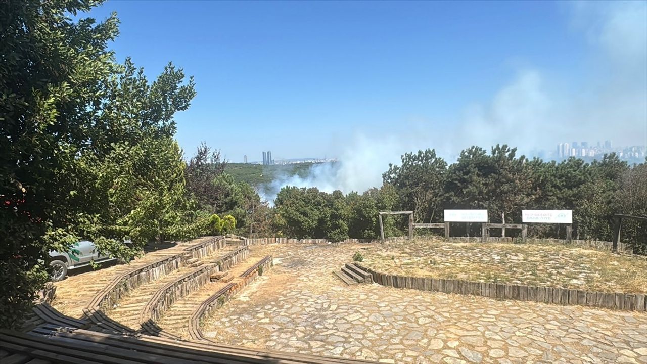 Sultangazi'de Orman Yangını: İtfaiye Ekipleri Müdahale Ediyor