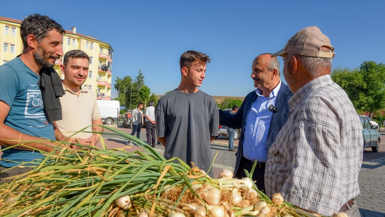 Taşköprü Sarımsak Pazarı Açıldı
