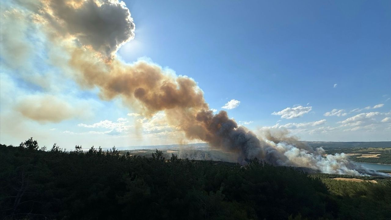 Tekirdağ'da Orman Yangınına Hızlı Müdahale
