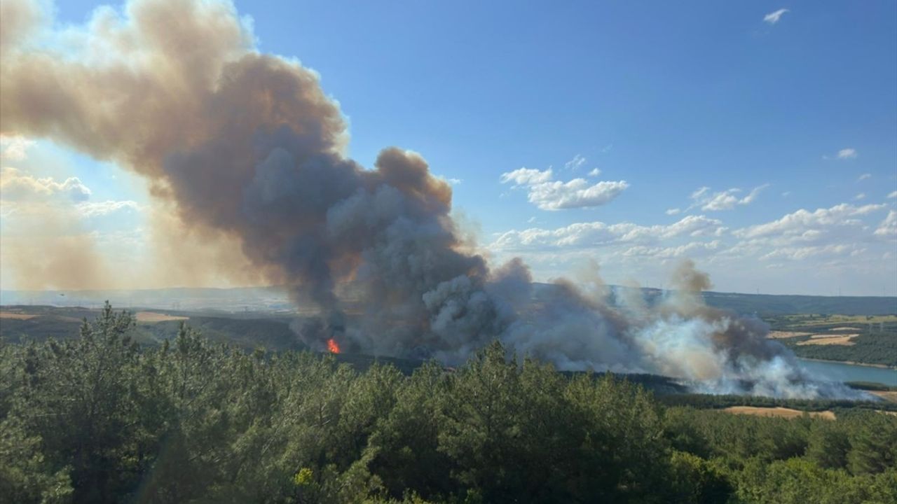 Tekirdağ'da Orman Yangınına Hızlı Müdahale