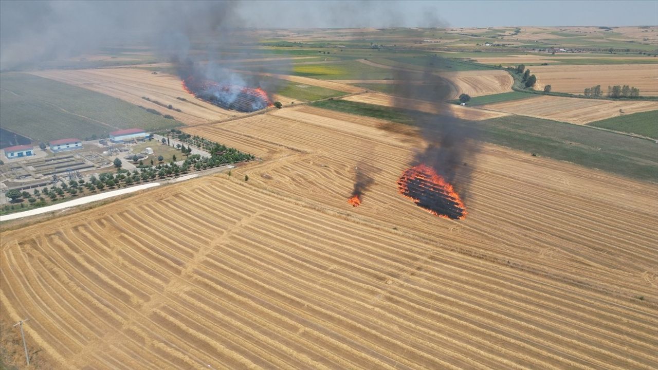 Tekirdağ'da Tarım Alanındaki Yangın Kontrol Altına Alındı