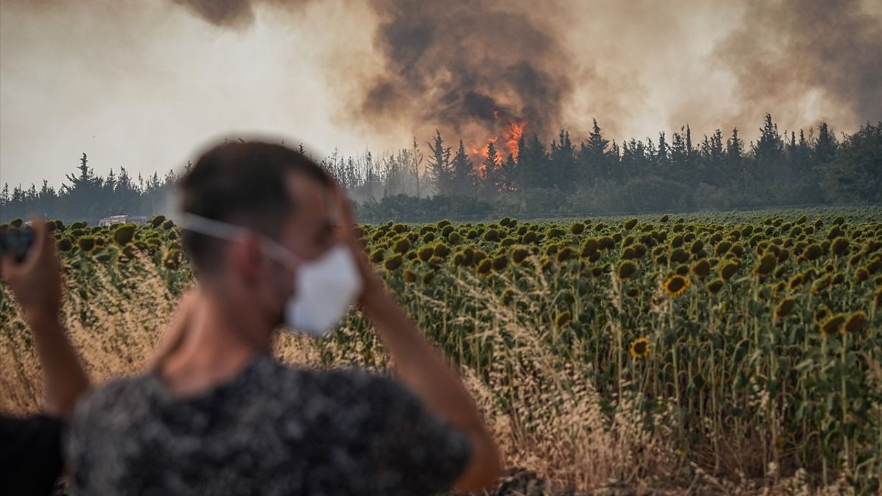 Tekirdağ'daki Orman Yangını Çanakkale'ye Ulaştı