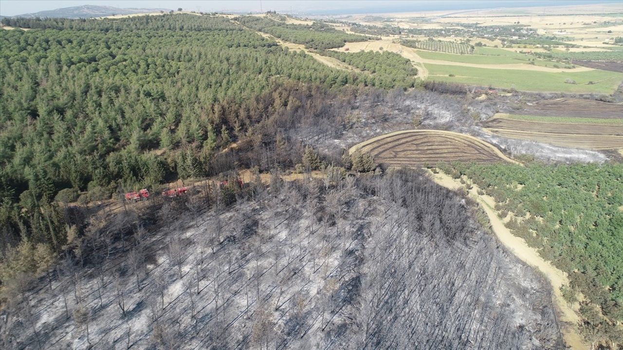 Tekirdağ'dan Çanakkale'ye Sıçrayan Yangın: Dronla Zarar Gören Alanlar Görüntülendi