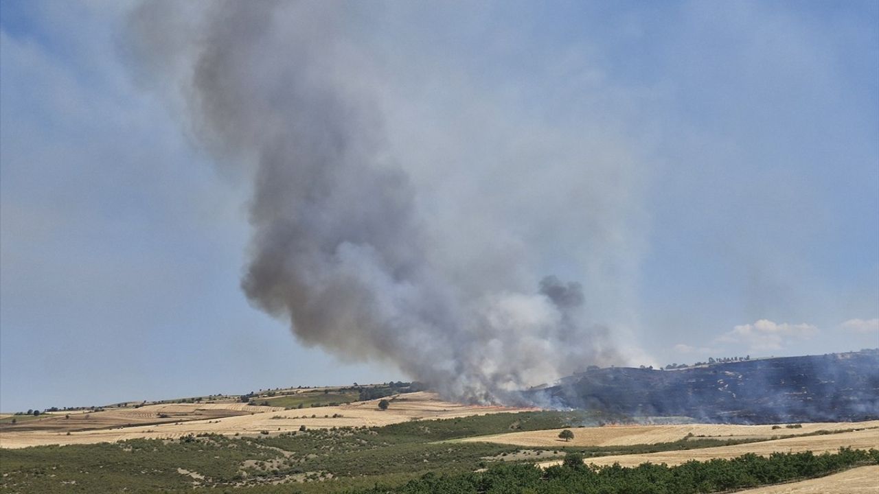 Tokat'ta Büyük Yangın: 250 Dekar Buğday Tahrip Oldu