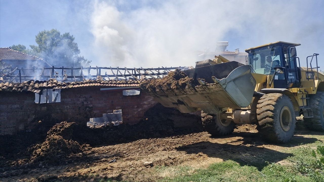 Tokat'ta Yangında 7 Büyükbaş Hayvan Hayatını Kaybetti