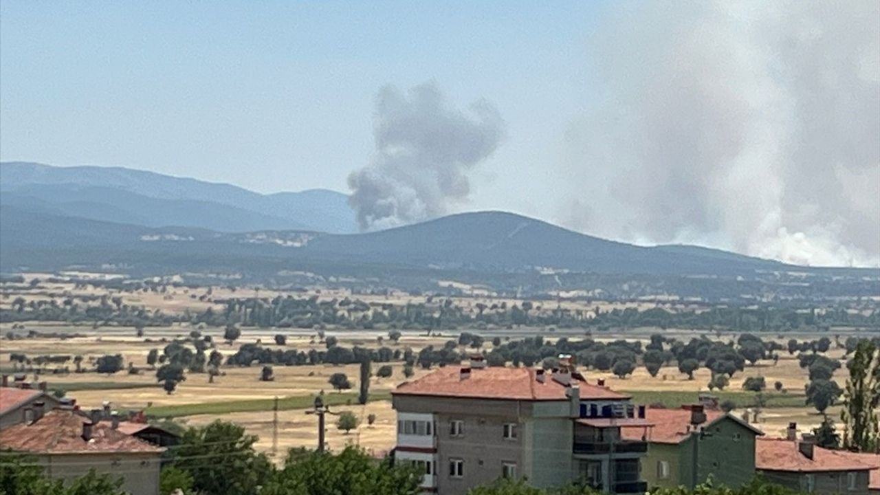 Uşak'taki Meşelik Yangınına Müdahale Devam Ediyor