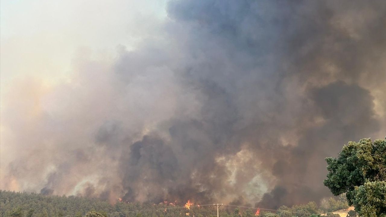 Uşak'taki Orman Yangınına Müdahale Devam Ediyor