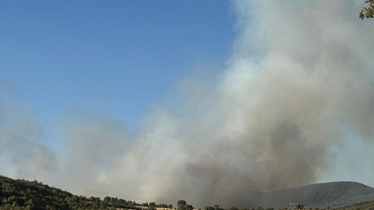 Uşak ve Manisa'daki Yangınlara Hızla Müdahale Ediliyor