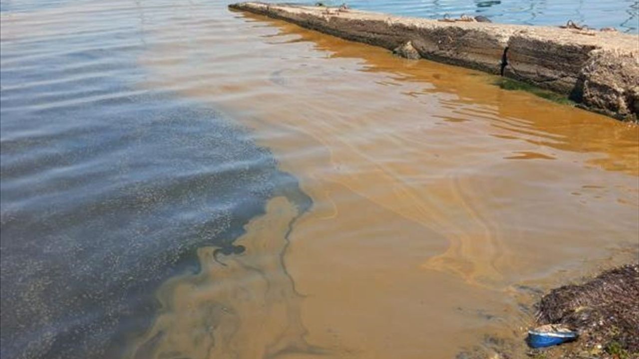 Yalova'da Deniz Kirletme İddiası: İnceleme Başlatıldı