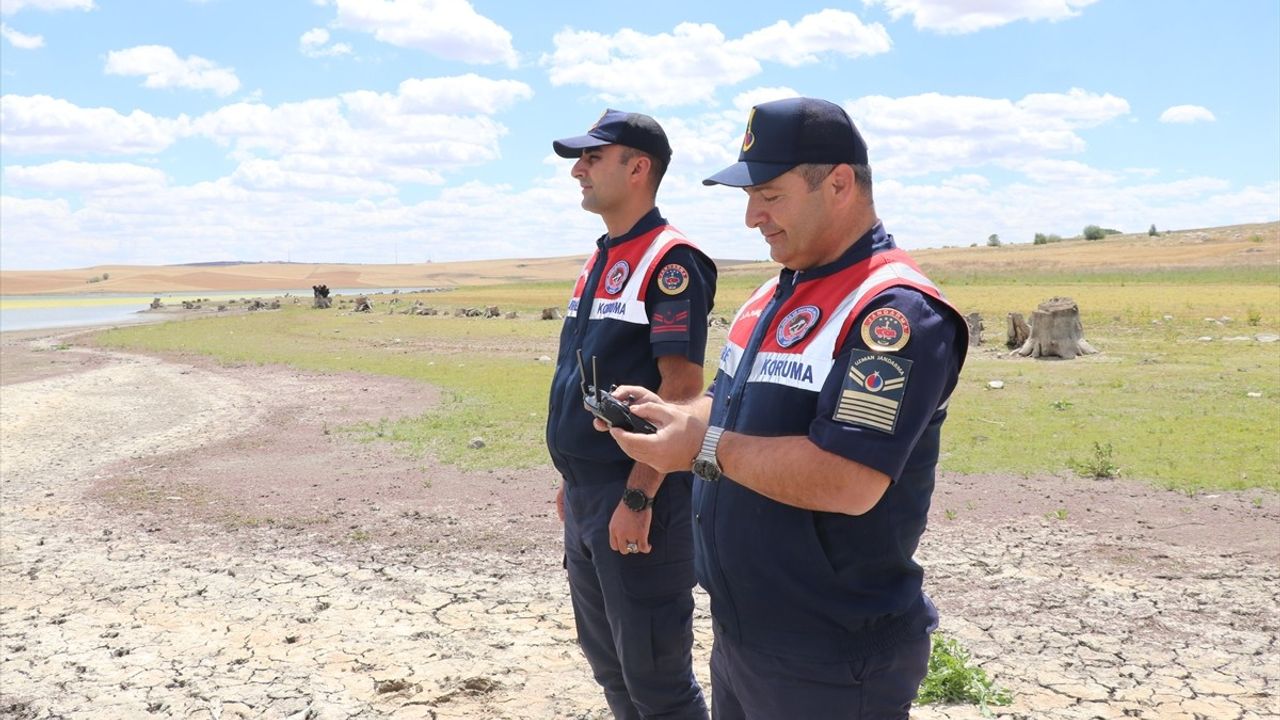 Yozgat'ta Flamingolar Jandarma Tarafından Korunuyor