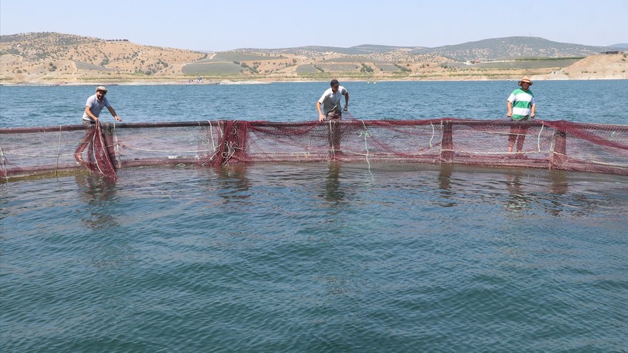 Yozgat'ta İhracat Uğruna Üretilen Türk Somonu ve Alabalık