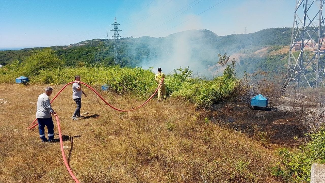 Zonguldak'ta Yangın Kontrol Altına Alındı