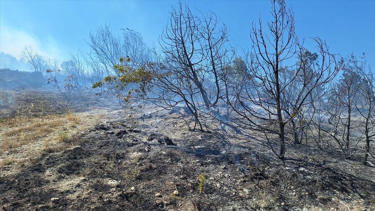 Zonguldak'taki Yangın Kontrol Altına Alındı