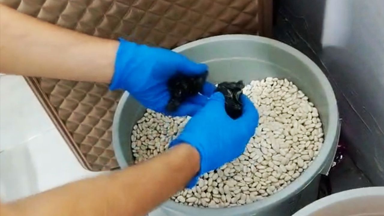 Adana'da Uyuşturucu Operasyonu: 6 Zanlı Tutuklandı