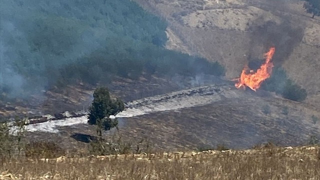Adana'daki Orman Yangını Kontrol Altına Alındı