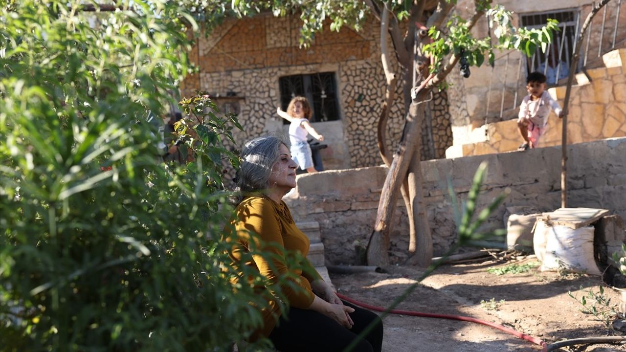 Afrinli Aileler Yıllar Sonra Evlerine Kavuşmanın Mutluluğunu Yaşıyor