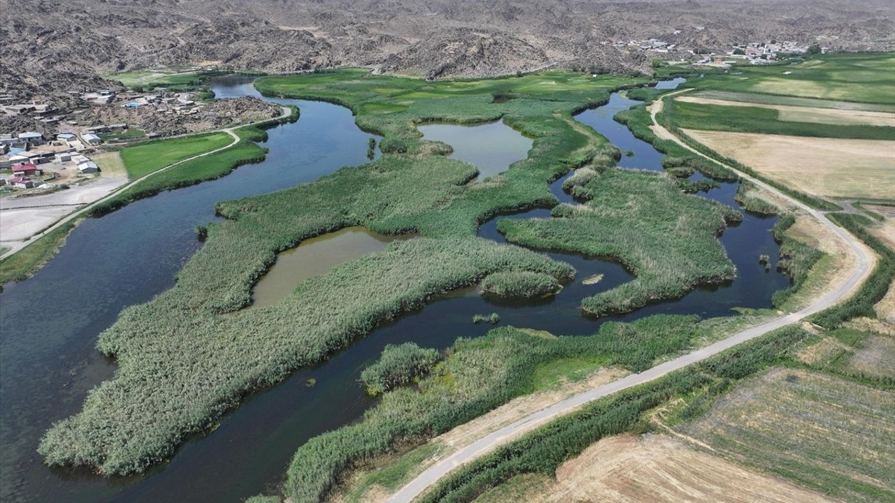 Ağrı Dağı’nın Eteklerindeki Sulak Alanlar Turizme Açılıyor