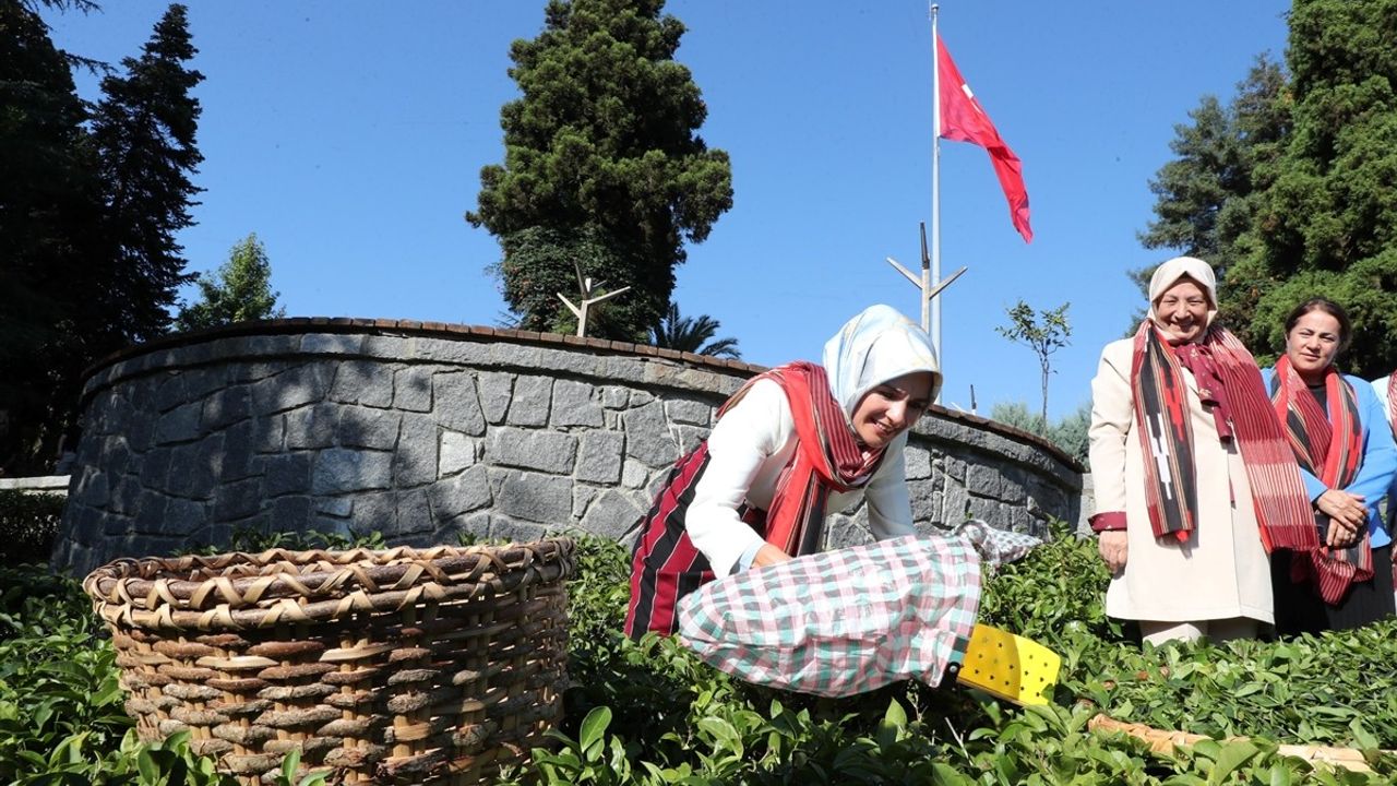 Aile Yılı Kapsamında Bakan Göktaş, 63 Yıllık Evliliği Ziyaret Etti