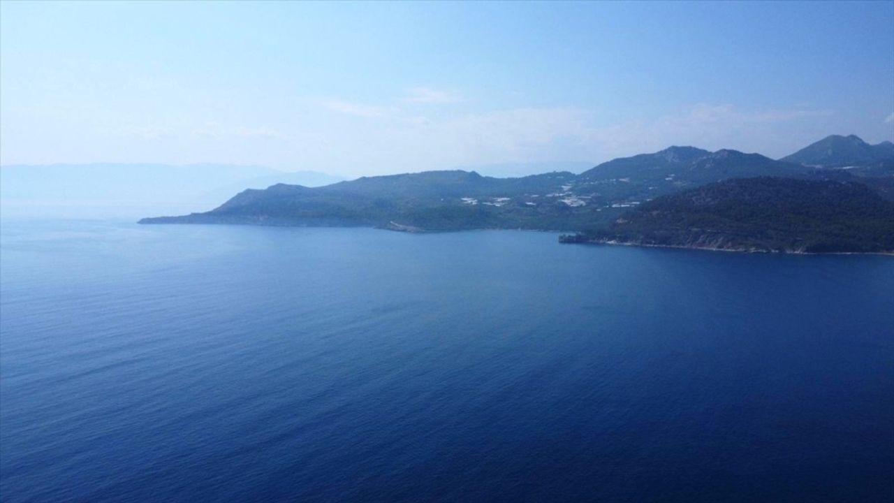 Akdeniz'in Tropikalleşmesi: Yeni Deniz Faunası ve Tahminler