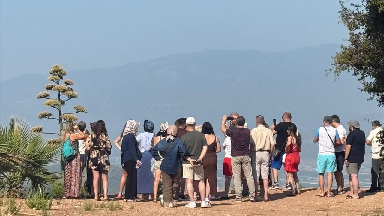 Antalya'da Nadir Görülen Agave Bitkisi Çiçek Açtı