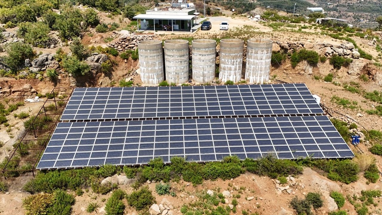 Antalya'da Tropikal Meyve Bahçelerinde Güneş Enerjisi Dönemi