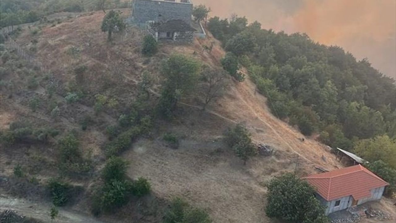 Arnavutluk'ta Orman Yangınları Sürüyor