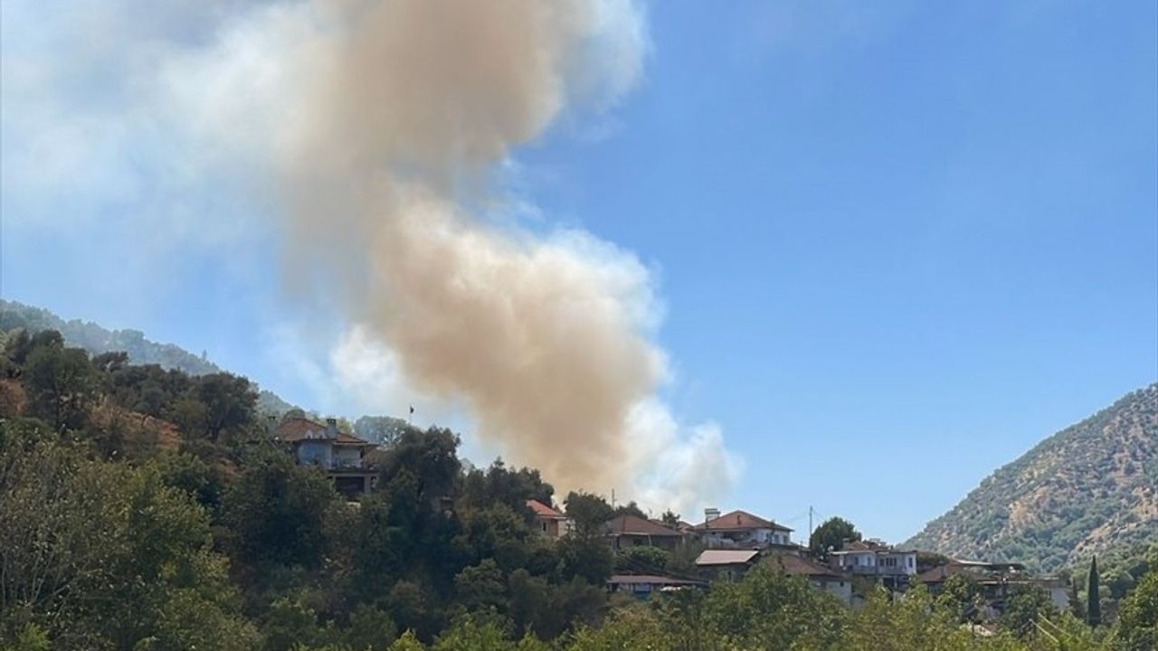 Aydın'da Zeytinlik Alanında Yangın Kontrol Altına Alındı