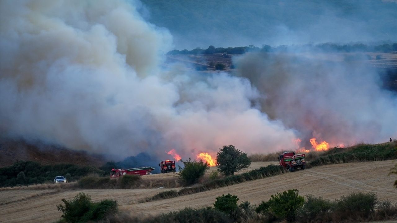 Balıkesir'de Orman Yangınına Hızlı Müdahale
