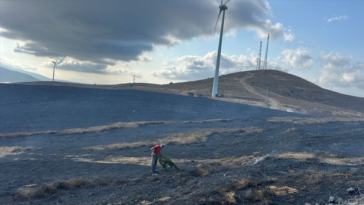Balıkesir Paşalimanı Adası'ndaki Yangın Kontrol Altına Alındı