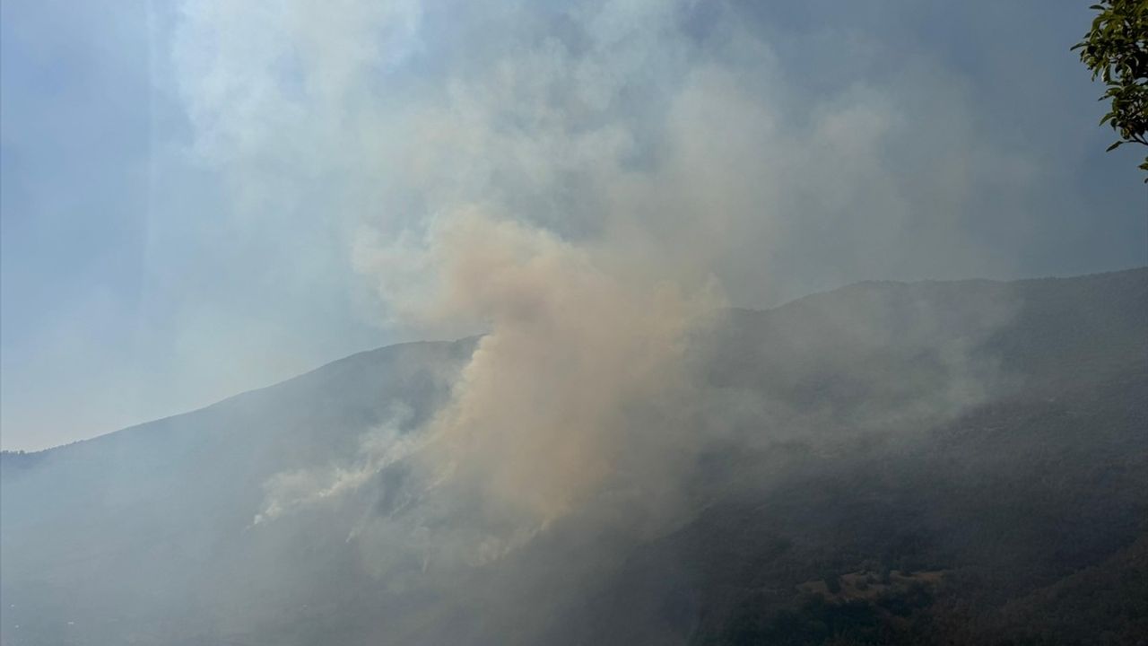 Bartın'daki Orman Yangını Kontrol Altına Alındı