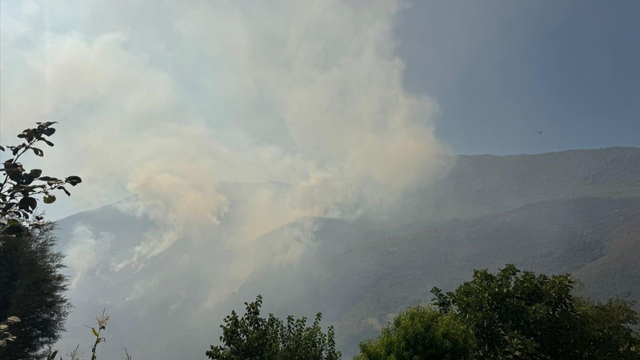 Bartın'daki Orman Yangınına Müdahale Devam Ediyor