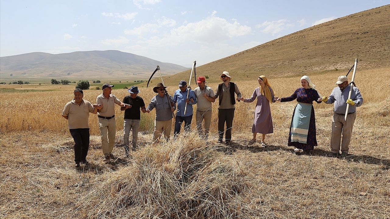 Bayburt'ta Geleneksel Harman Festivali Rüzgarı