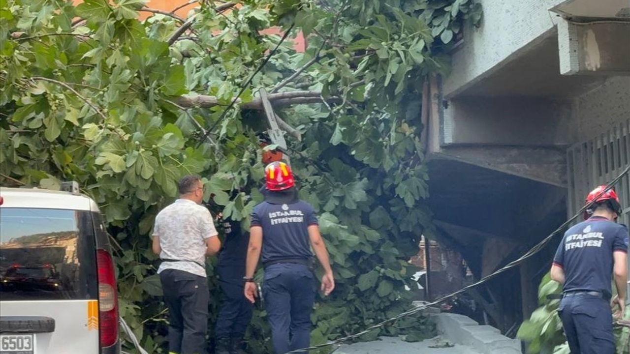 Beyoğlu'nda Devrilen Ağaçlar Araçlara Zarar Verdi