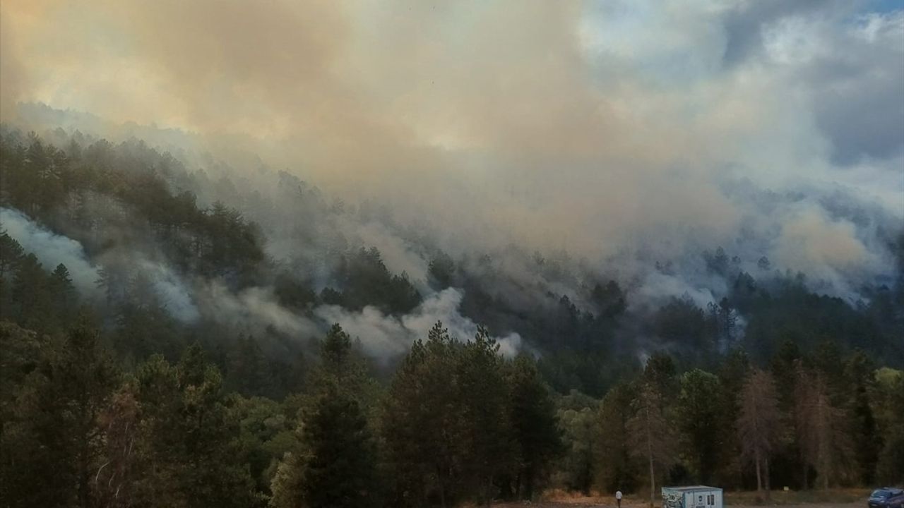 Bolu'da Orman Yangını Kısmen Kontrol Altına Alındı