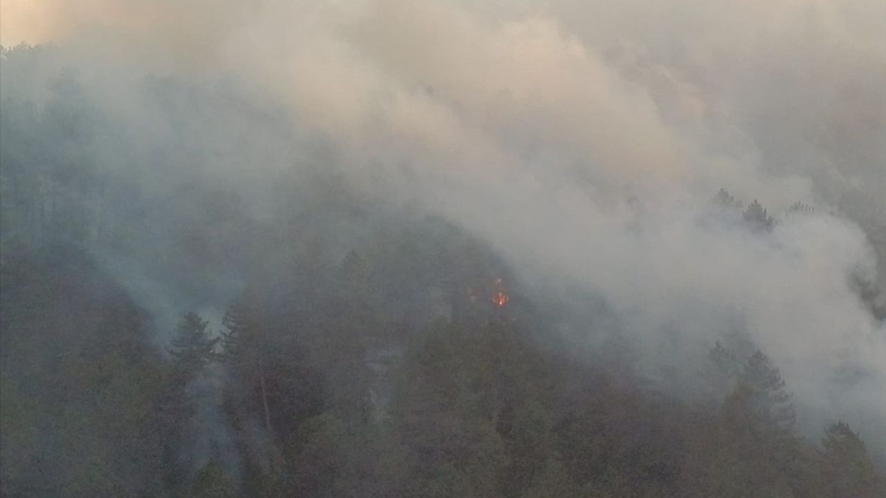 Bolu'daki Orman Yangını Kısmen Kontrol Altına Alındı