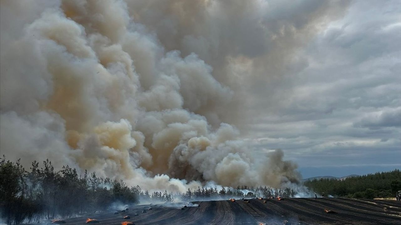 Bursa'da Orman Yangınına Hızla Müdahale Ediliyor