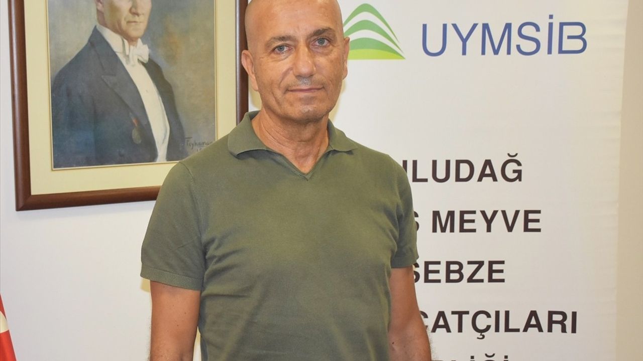 Bursa Siyah İnciri İhracatında Kriz: UYMSİB Başkanı Yazgan Açıklama Yaptı