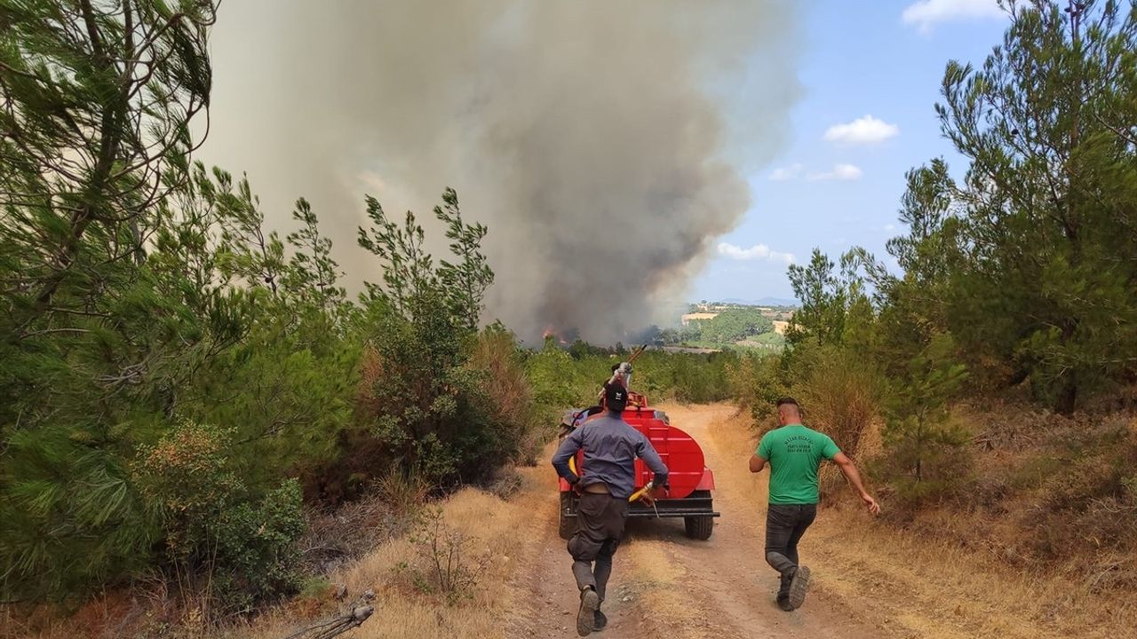 Çanakkale Bayramiç'te Orman Yangını: 3 Köy Tahliye Edildi