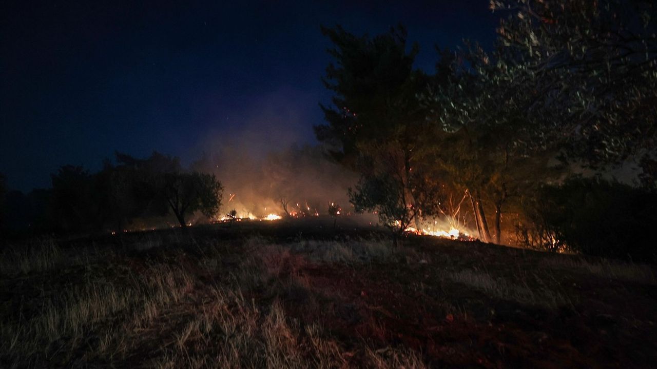 Çanakkale Bayramiç'te Orman Yangınına Müdahale Devam Ediyor