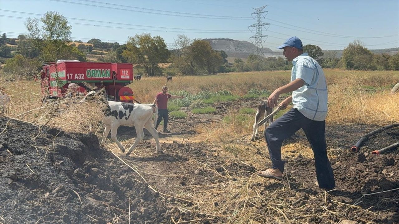 Çanakkale'de Ahır Yangını Kontrol Altına Alındı