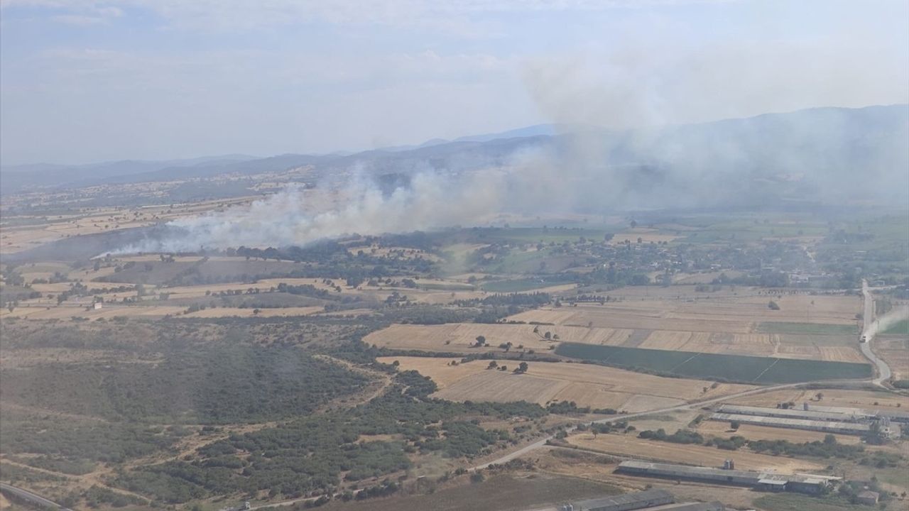 Çanakkale'deki Orman Dışı Yangın Kontrol Altına Alındı