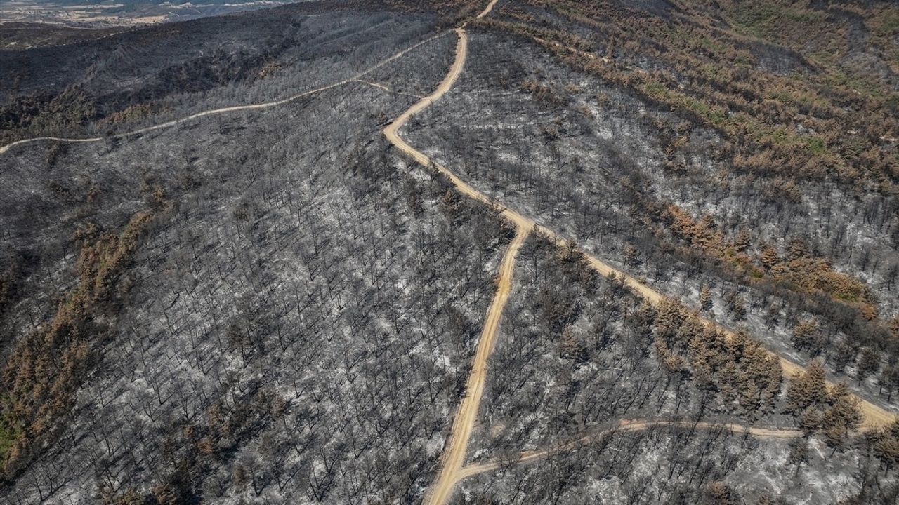 Çanakkale'de Orman Yangını: Zarar Gören Alanlar Dronla Görüntülendi