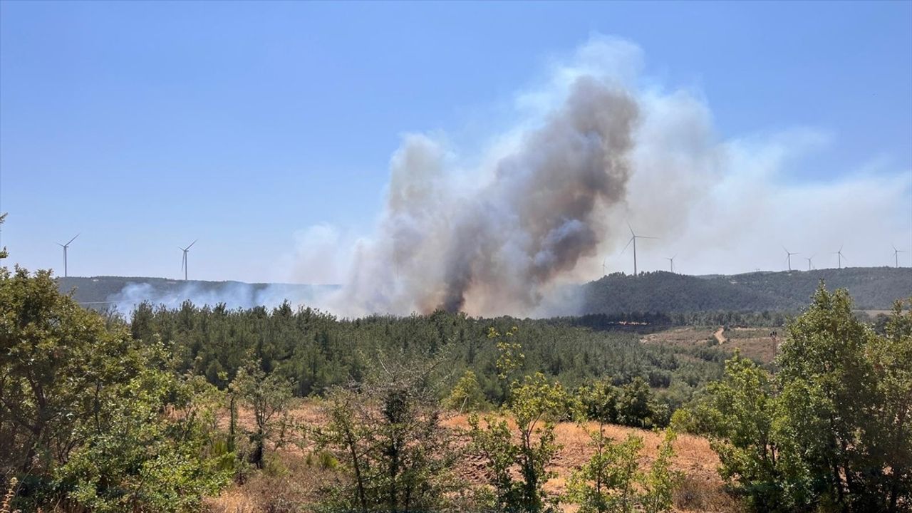 Çanakkale'de Orman Yangınına Hızlı Müdahale